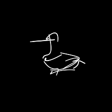 10 curves duck