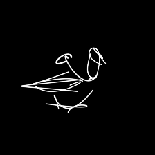 15 curves duck