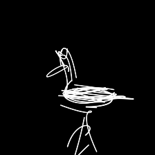 20 curves duck