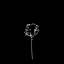 3D Abstract Sketch of Rose
